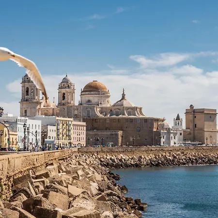 Villalobos By Time Cadice