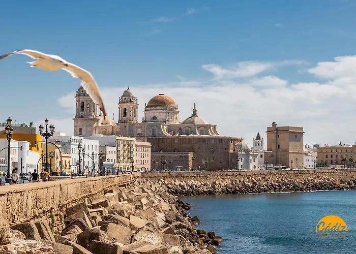 Villalobos By Time Cádiz